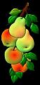 fruit (18)